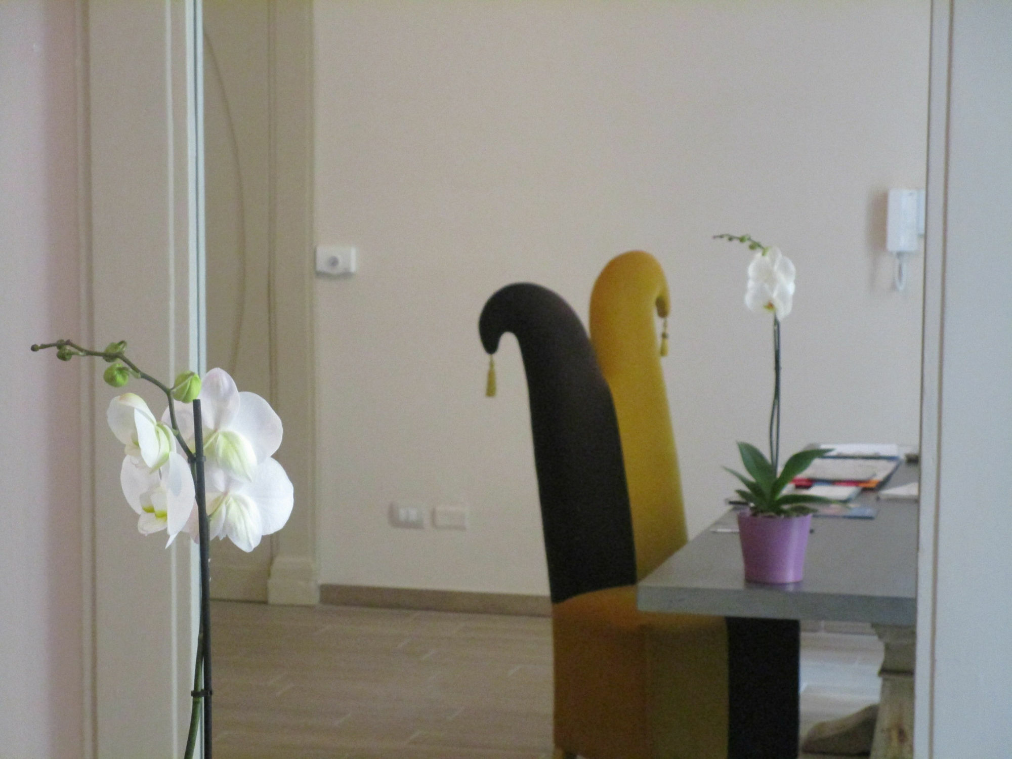Residenza Dell' Opera Apart otel Torino Dış mekan fotoğraf
